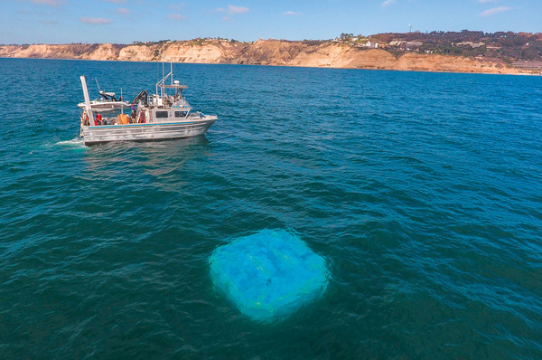 © Foto: CalWave Unternehmen wie CalWave aus Kalifornien setzen auf das Prinzip der „oszillierenden Dämpfungsglieder“. Diese Konverter arbeiten vollständig unter Wasser und nutzen die Druckdifferenzen aus, die durch die Wellenbewegung entstehen. Hier: eine Testanlage des kalifornischen Unternehmens.
