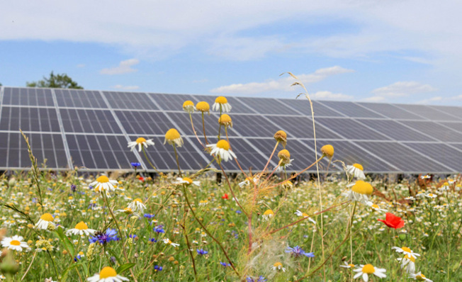 © Foto: Green Planet Energy