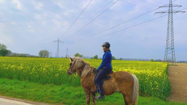 Wie lässt sich der Netzausbau beschleunigen, bevor daran die Energiewende scheitert?