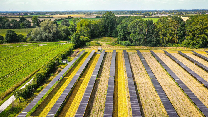 Gridparity hat sich neben der Agri-PV auch auf Anwendungen im urbanen Raum und auf Solarparkplätze spezialisiert.