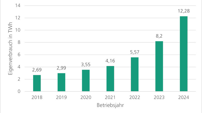 Seit 2018 hat sich die vor Ort verbrauchte Solarstrommenge mehr als vervierfacht.