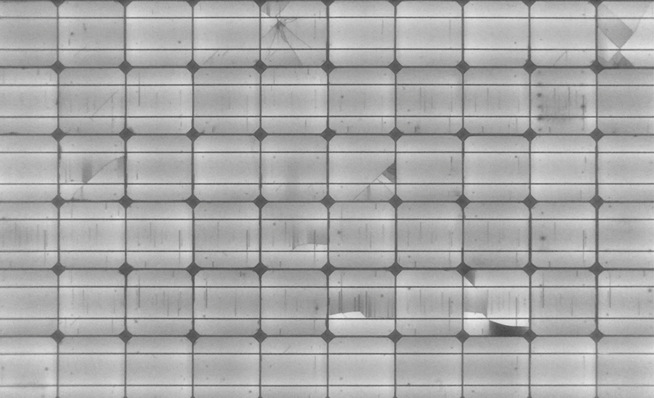 Die Elektrolumineszenz schaut tief ins Modul hinein. Deutlich sichtbar sind die Zellrisse. Dunkle Bereiche liefern keinen Strom mehr. Aerial PV Inspection kann solche Aufnahmen auch im Feld machen.
