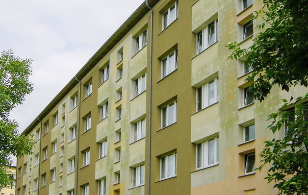 Algen an einer wärmegedämmten Fassade: Dübelabzeichnungen verstärken den optischen Mangel durch mikrobiellen Befall.