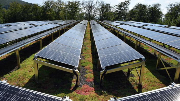 Die Kombination von Gründach und Solaranlage ist eine der Lösungen für das Stadtklima der Zukunft.