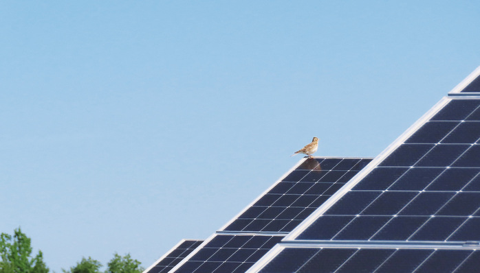 Vom Solarstrom profitiert nicht nur die Natur, sondern auch die Stromverbraucher:innen.